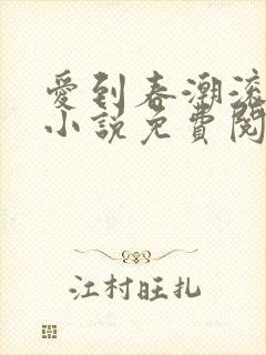 爱到春潮滚滚来小说免费阅读