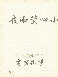 夜雨莹心小说