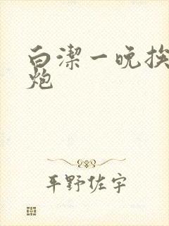 白洁一晚挨十二炮