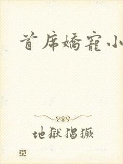 首席娇宠小情人