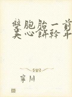 双胞胎一前一后夹心饼干年下