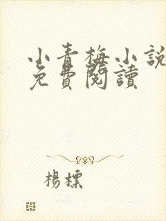 小青梅小说全文免费阅读