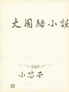 大团结小说全文