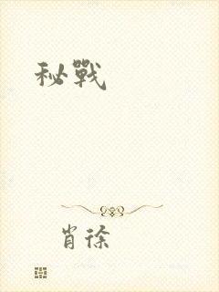 秘战