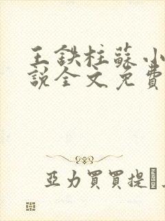 王铁柱苏小汐小说全文免费阅读最新章节