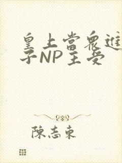 皇上当众进入太子NP主受