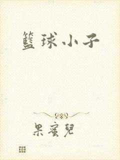 篮球小子