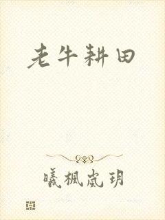 老牛耕田