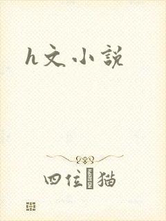 h文小说