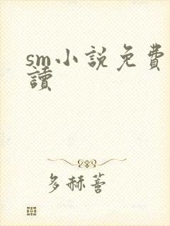 sm小说免费阅读