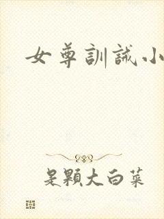 女尊训诫小说