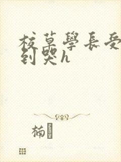 校草学长受被做到哭h