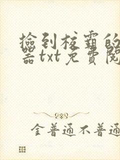 捡到校霸的遥控器txt免费阅读