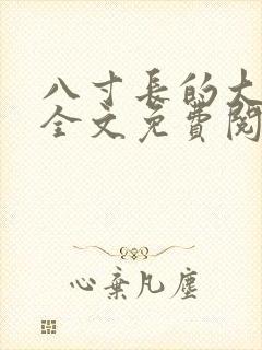 八寸长的大宝贝全文免费阅读