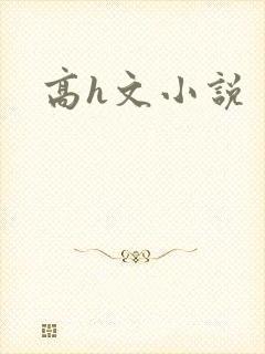 高h文小说