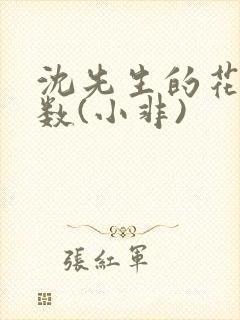 沈先生的花式调数(小非)