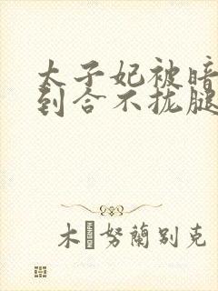 太子妃被暗卫C到合不拢腿