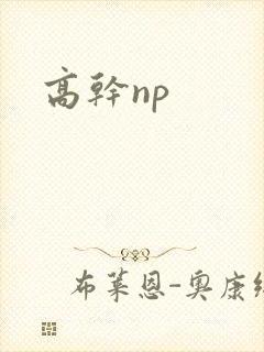高干np