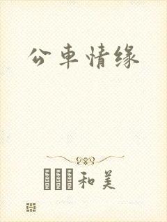 公车情缘