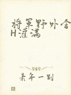 将军野外含公主H灌满