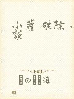 小萝 破除 小说