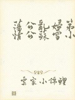 荡公乱妇第1章情公苏雪小说