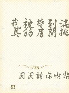 我被带到满是玩具的房间挑调游戏