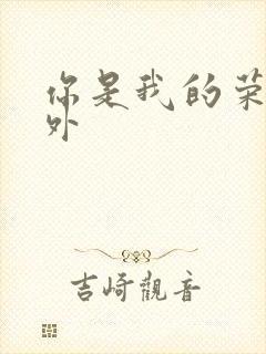 你是我的荣耀番外