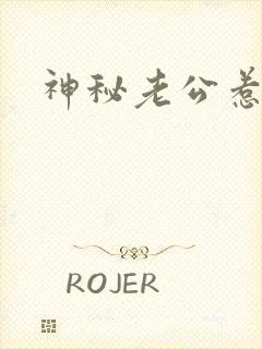 神秘老公惹不起