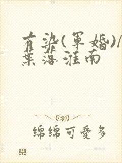 有染(军婚)/叶落淮南