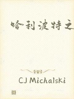 哈利波特之守护