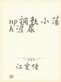 np调教小荡货h灌尿