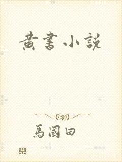 黄书小说