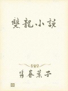 双龙小说