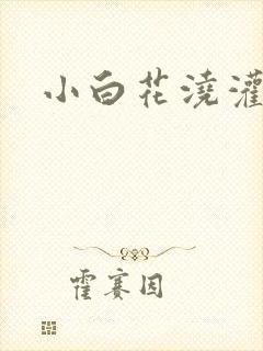 小白花浇灌日常