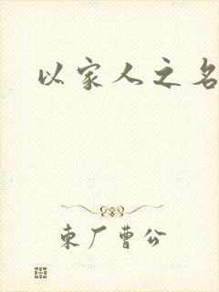 以家人之名小说