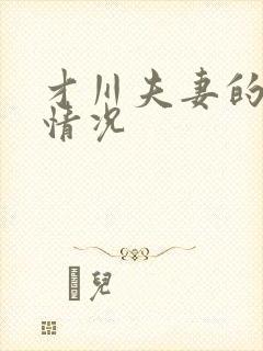 才川夫妻的恋爱情况