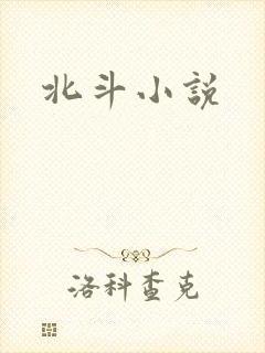 北斗小说