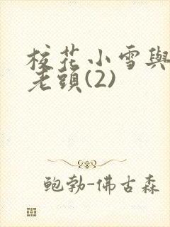 校花小雪与门卫老头(2)