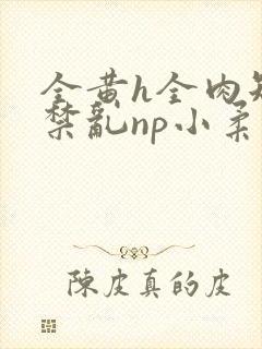 全黄h全肉短篇禁乱np小柔