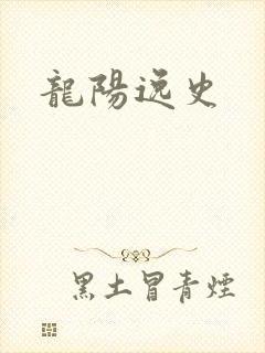 龙阳逸史