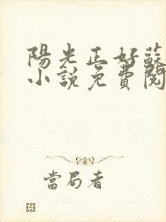 阳光正好苏玥玥小说免费阅读