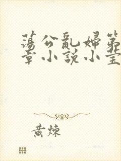 荡公乱妇第51章小说小莹