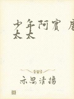 少年阿宾 房东太太