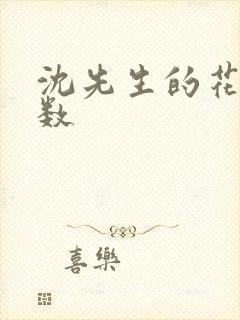 沈先生的花式调数