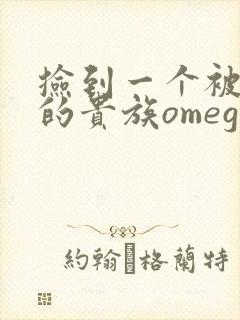 捡到一个被抹布的贵族omega