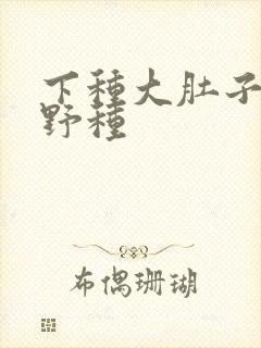 下种大肚子怀孕野种