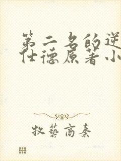 第二名的逆袭高仕德原著小说