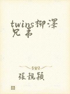 twins柳泽兄弟