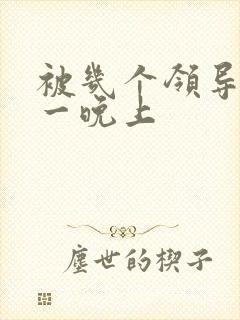 被几个领导玩弄一晚上